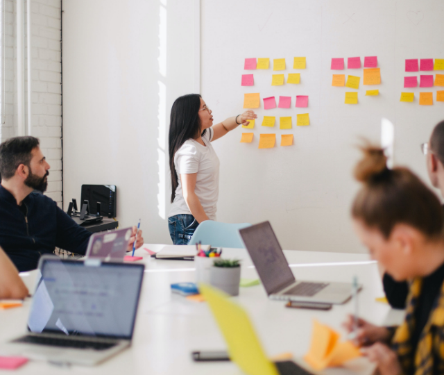 Training & Development